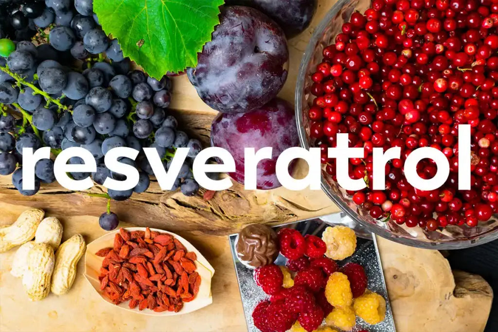 Resveratrol